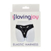 n11717-loving-joy-elastic-harness-pkg Loving Joy Elastic Harness