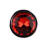 n12820-toosh-silver-metal-butt-plug-small-red-stone-jewel Toosh Silver Metal Butt Plug Small Red Stone