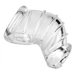 AE408x1.jpg Master Series Detained Soft Body Chastity Cage