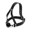 r583x1.jpg Leather Ball Gag And Head Harness
